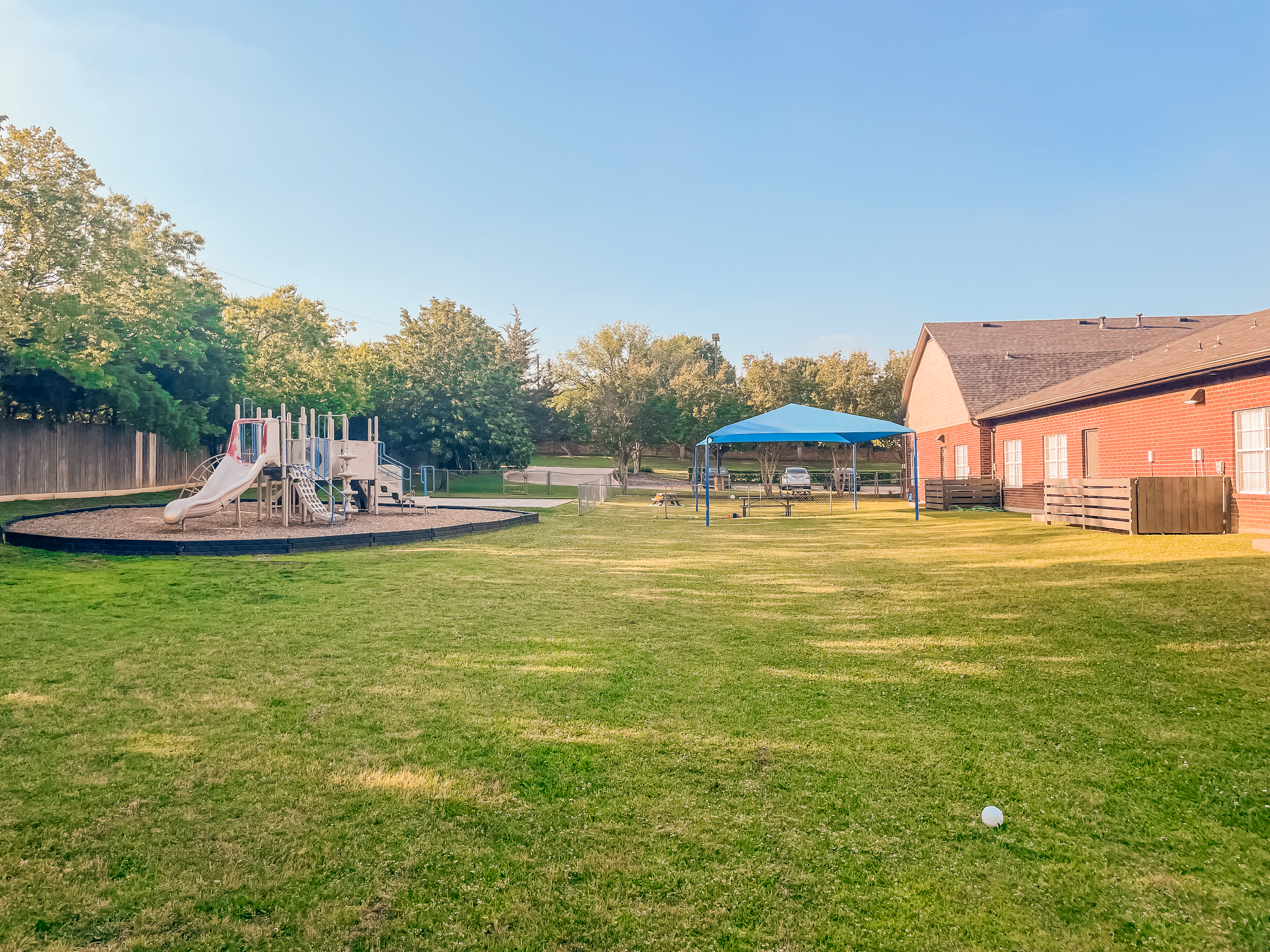 Before - Empty Yard